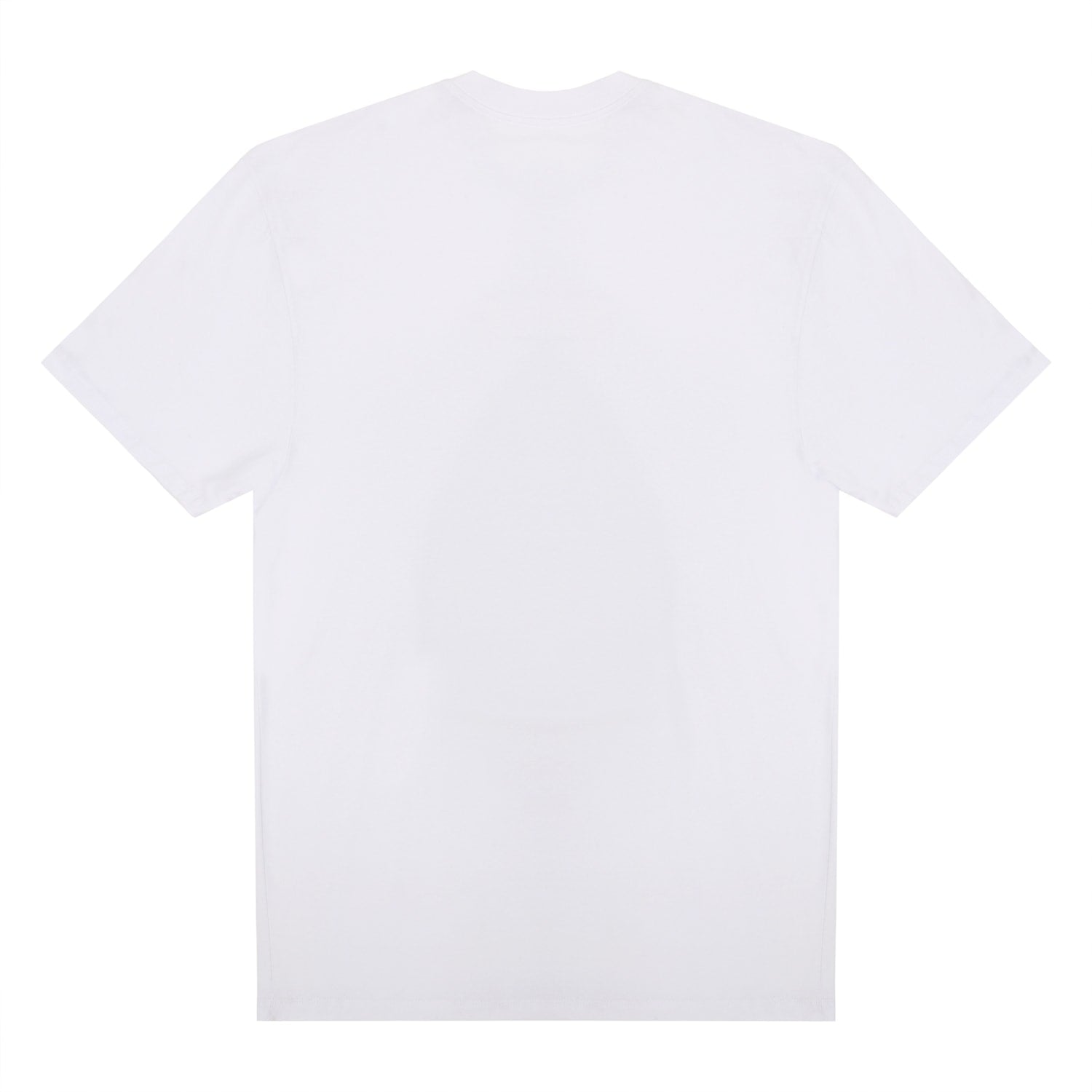 CAMISETA STREET HOMIES