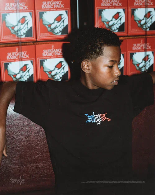 Camiseta Sufgang Basic Logo France Preta - Four Street